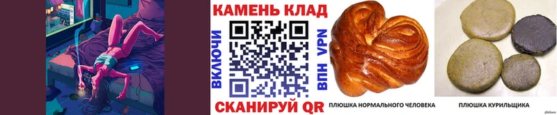 мега как зайти Фрязино Гашиш гарик где найти наркотики