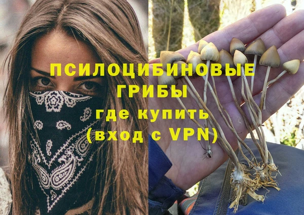 твердый Баксан