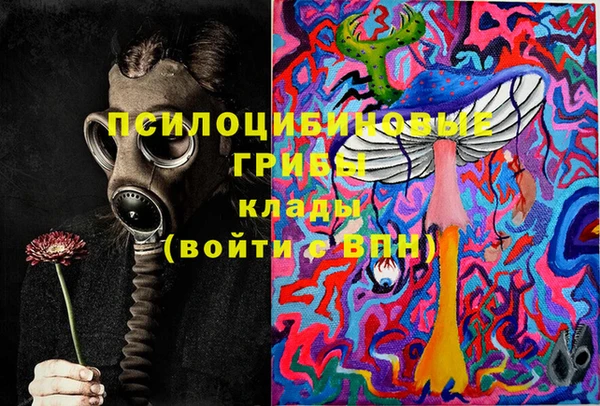 тгк Балахна