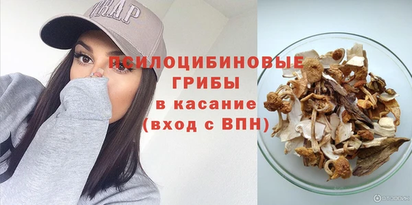 тгк Балахна