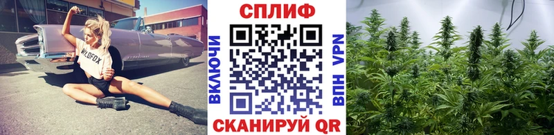Каннабис Ganja  Фрязино 